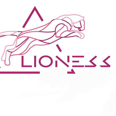 Lioness Estate - Dunedin Esterno foto